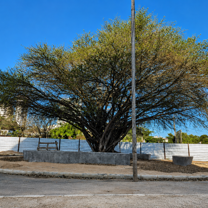 MG PRAÇA DOS JATOBAS